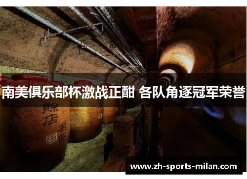 南美俱乐部杯激战正酣 各队角逐冠军荣誉 南美俱乐部杯激战正酣 各队角逐冠军荣誉